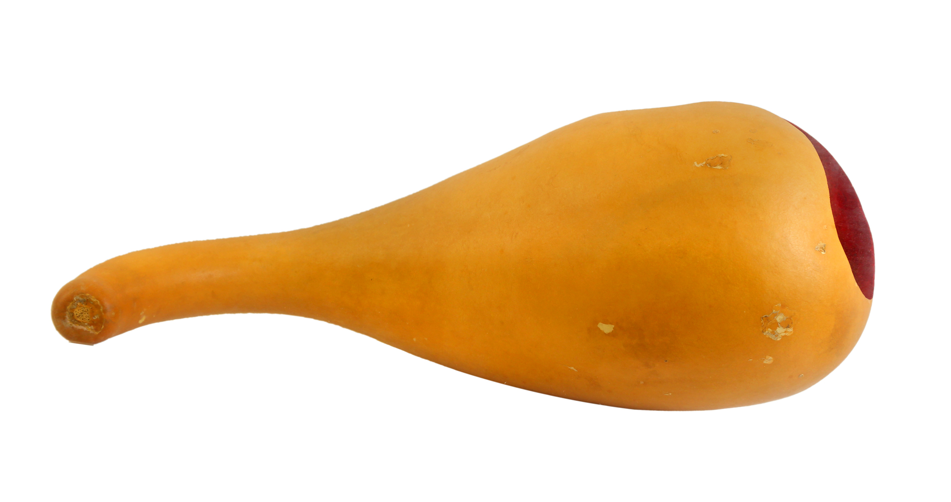 Anish Kapoor Acrylic and Pigment Gourd Side View Circa 1995