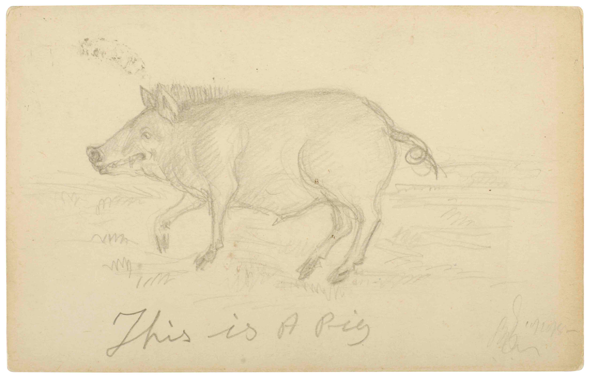 VARIOUS - Untitled (PostCards) ( circa 1940 )