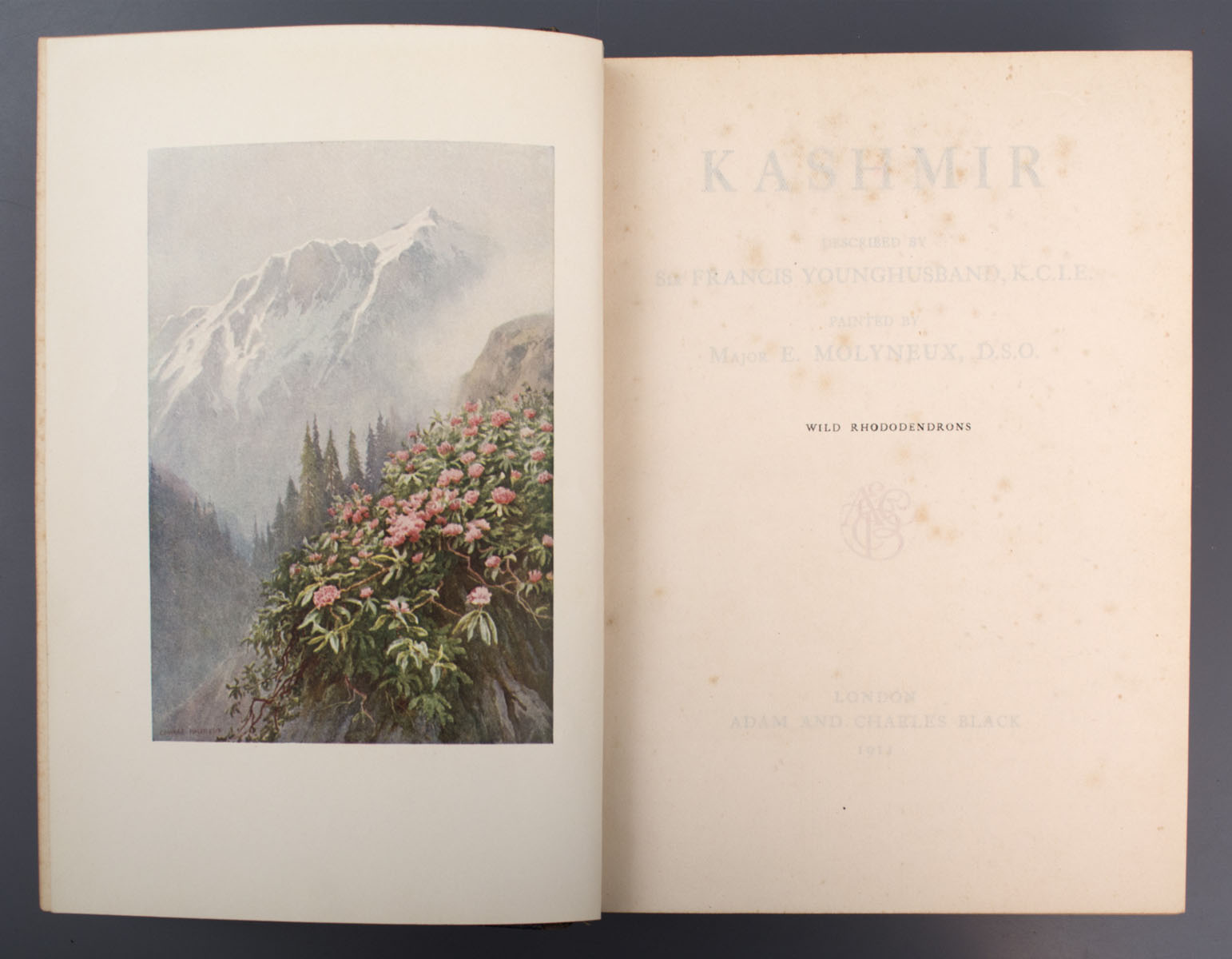 Sir Francis Younghusband - Kashmir (1911)