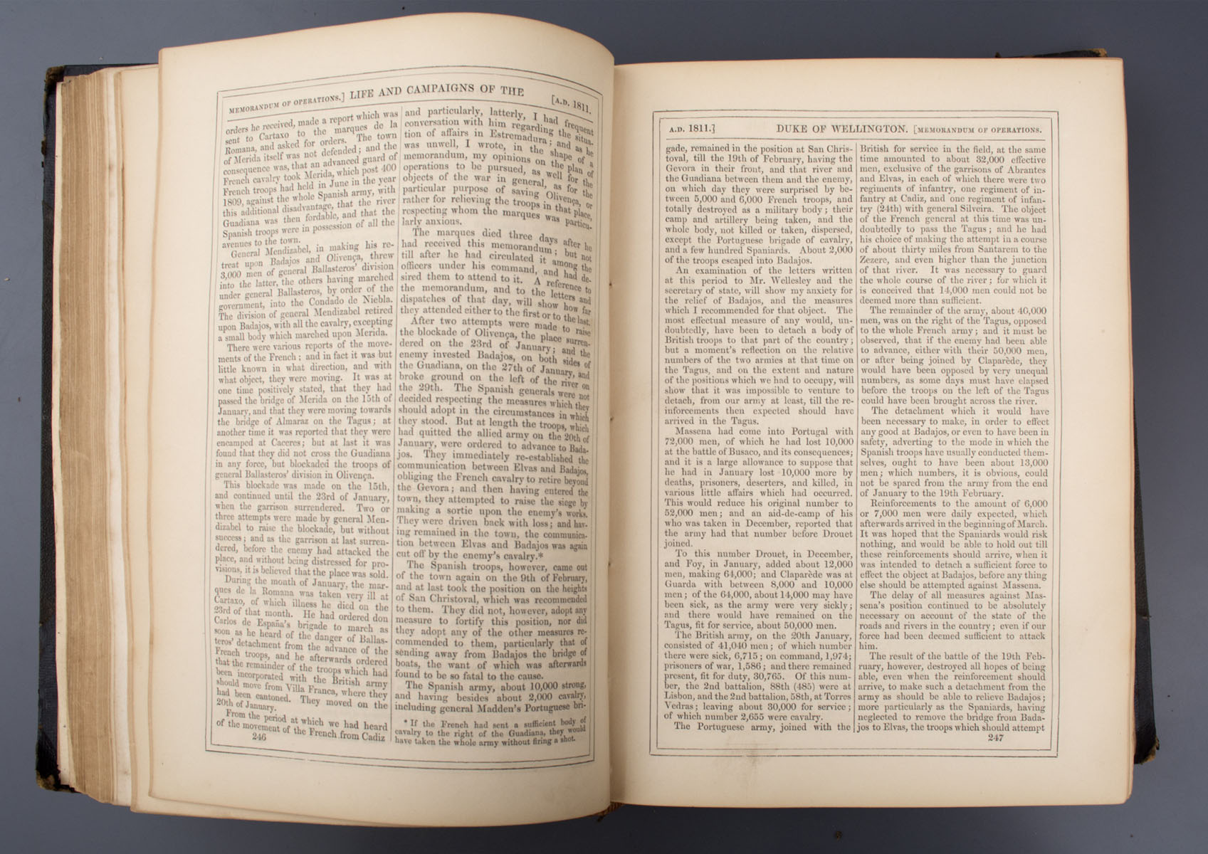 Lieutenant Colonel Williams - Life & Times of the Duke of Wellington (Circa 1855)