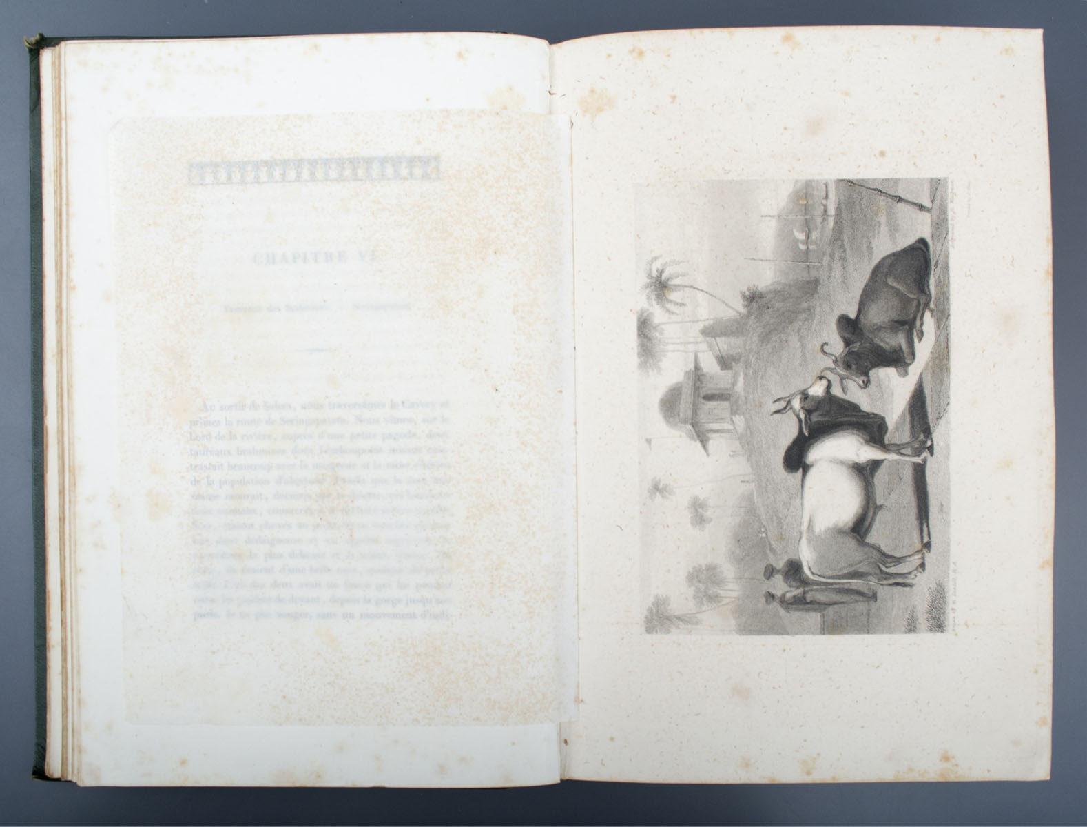 Auguste Urbain - L'Inde Pittoresque - Madras and Bombay (1840)