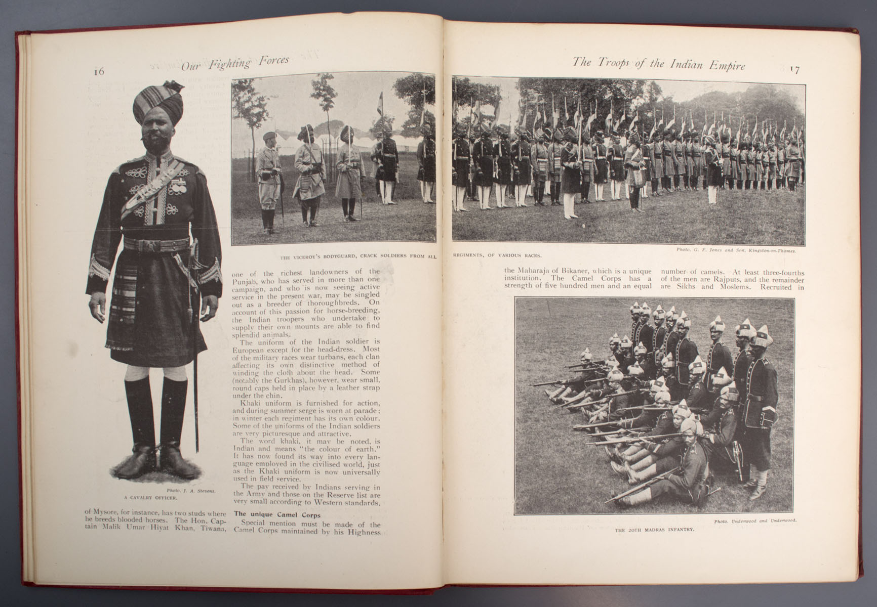 Saint Nihal Singh - Rally of the Empire (1914)