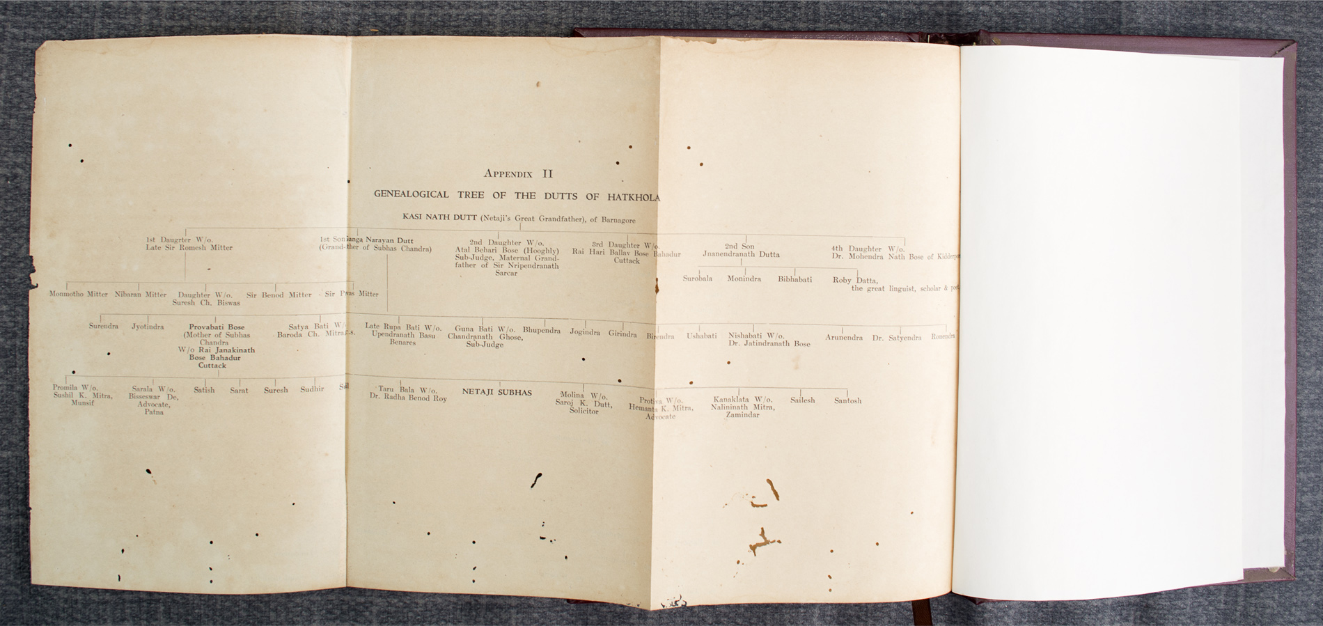 VARIOUS - Netaji's Life and Writings (1948)