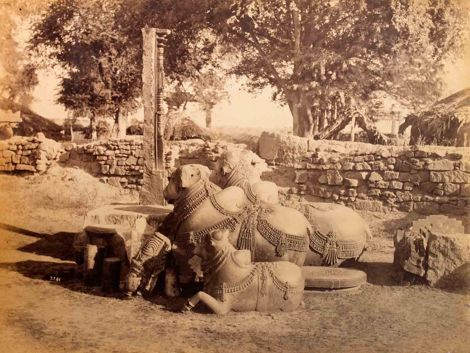 Raja Deen Dayal Nandias in Warungal Fort (1888)