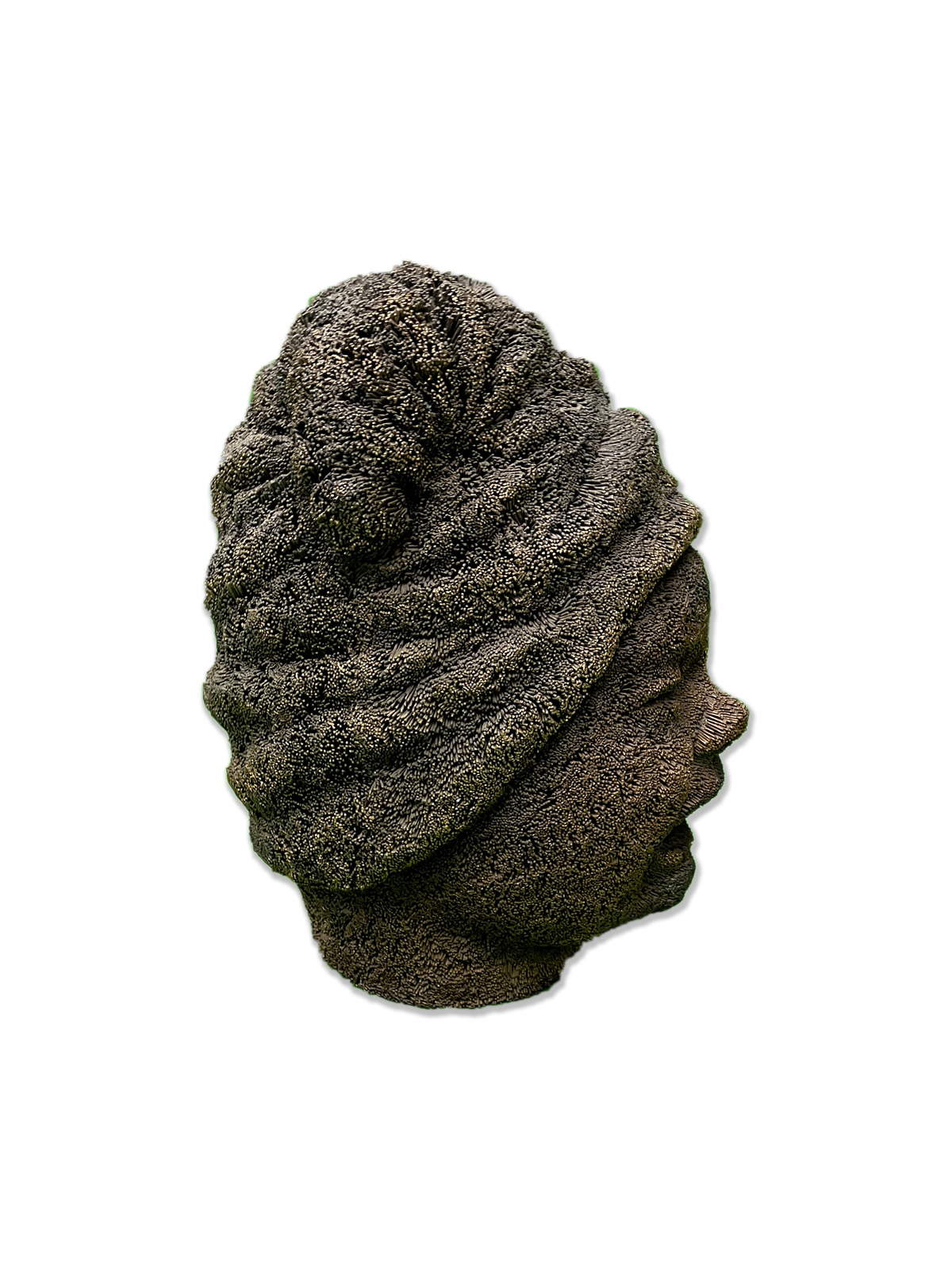 Nantu Behari Das (b. 1977) - UNTITLED (Head)