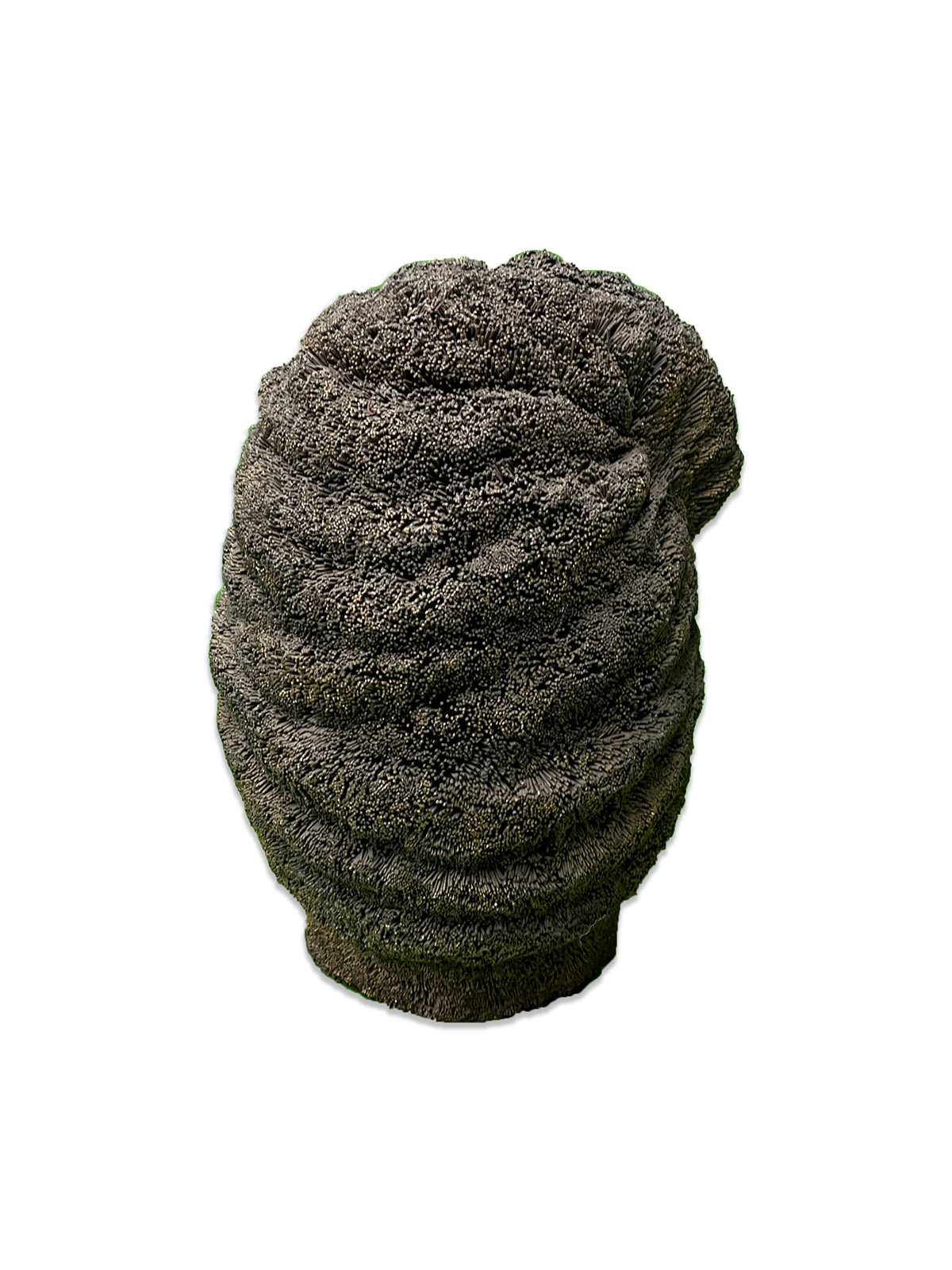 Nantu Behari Das (b. 1977) - UNTITLED (Head)