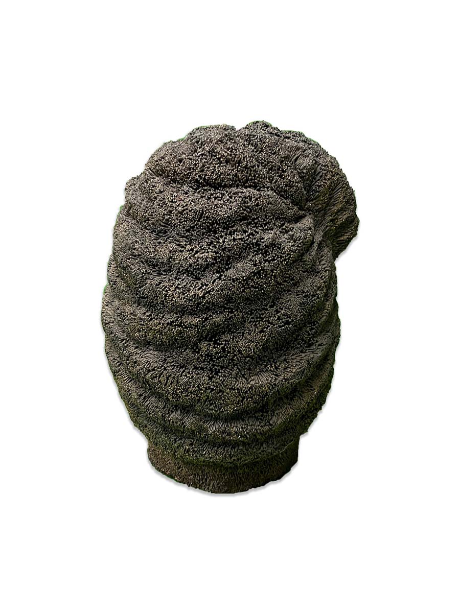 Nantu Behari Das (b. 1977) - UNTITLED (Head)