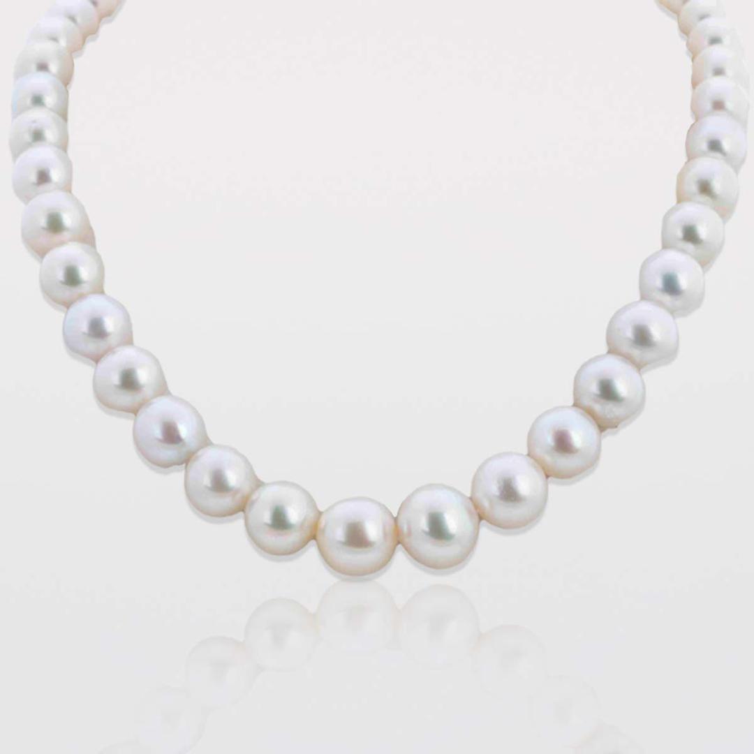 South Sea Pearls