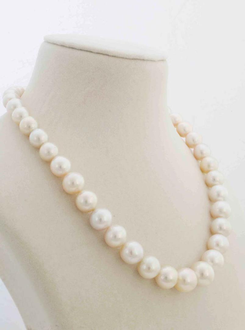 South Sea Pearls
