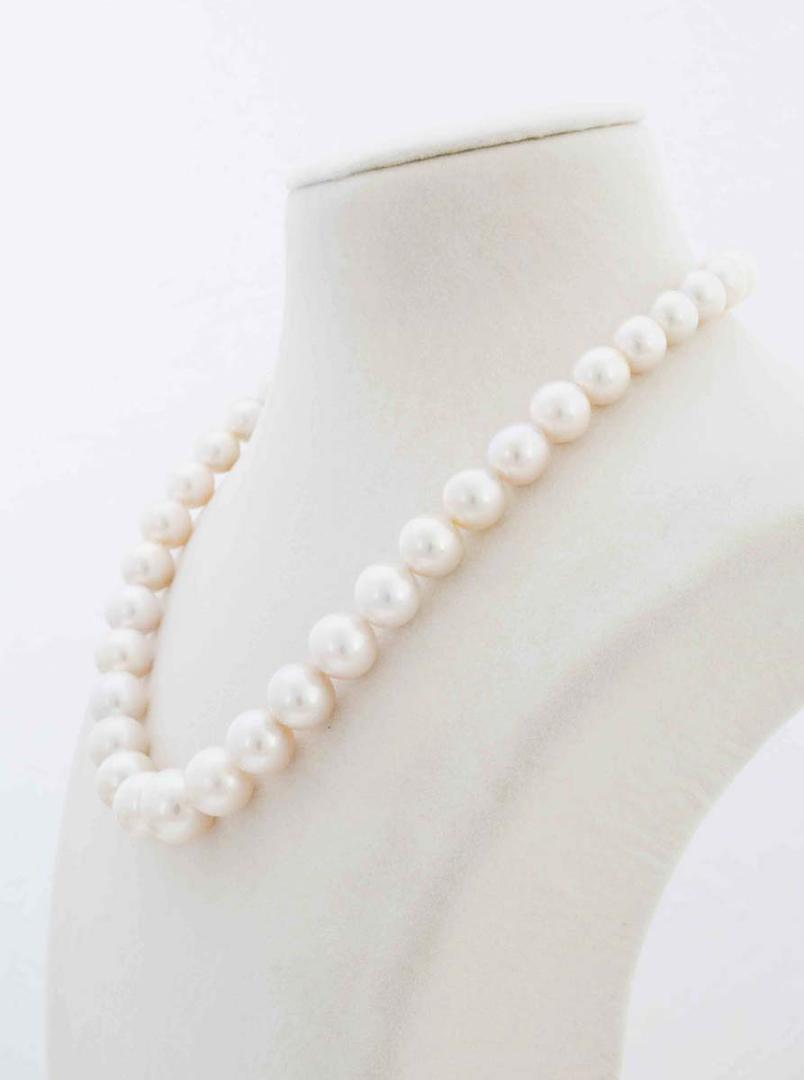 South Sea Pearls