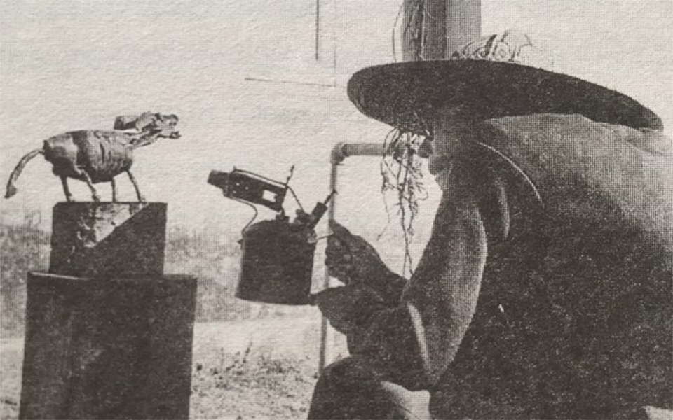 My Sculpture Garden Grows