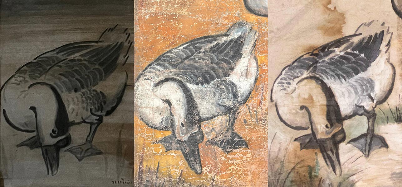 Geese_Comparison 