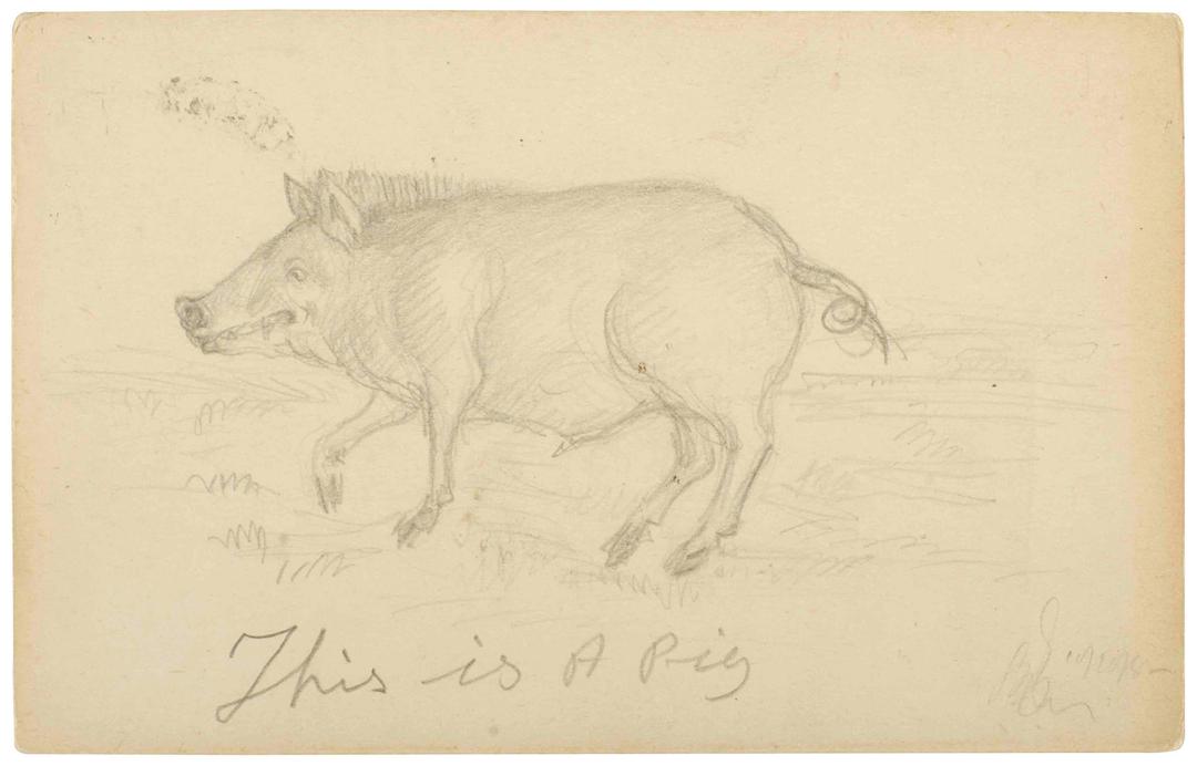 Shailesh Deb Barma Letter Pulin Behari Sen 1956